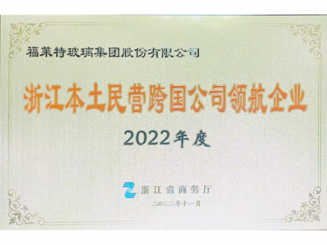 2022年度浙江本土民營(yíng)跨國(guó)公司領(lǐng)航企業(yè)